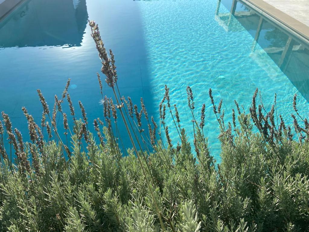 Rosemarine Villas Durres Bagian luar foto